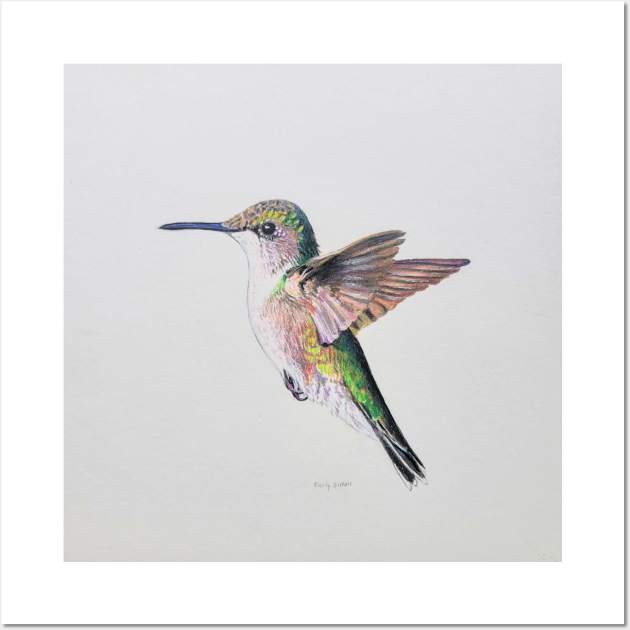 Female Ruby Throated Hummingbird drawing Wall Art by EmilyBickell